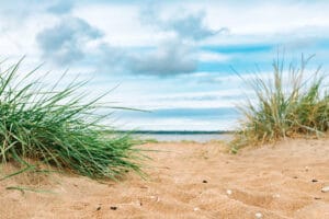 Västra stranden in Halland County, Sweden