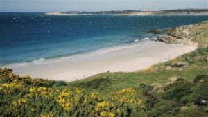 Gypsy Cove Beach in Falkland Islands