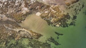 Longniddry Bents in East Lothian, Scotland