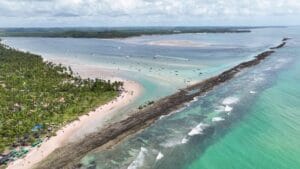 Praia dos Carneiros in Pernambuco, Brazil