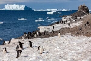 Antarctica